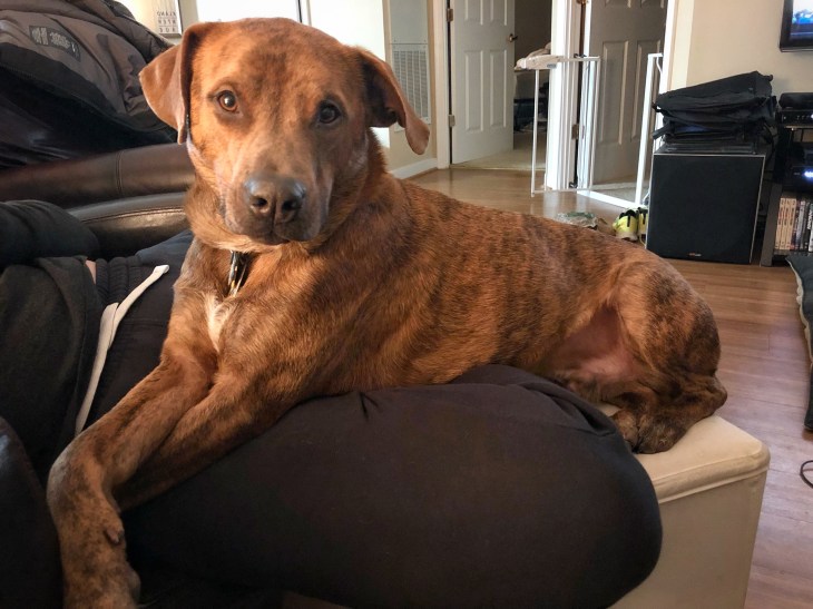 Temba intently listening